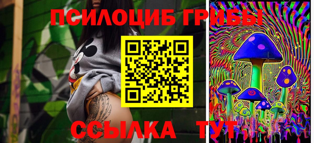 Обь  Псилоцибиновые грибы мицелий  Вход с VPN 